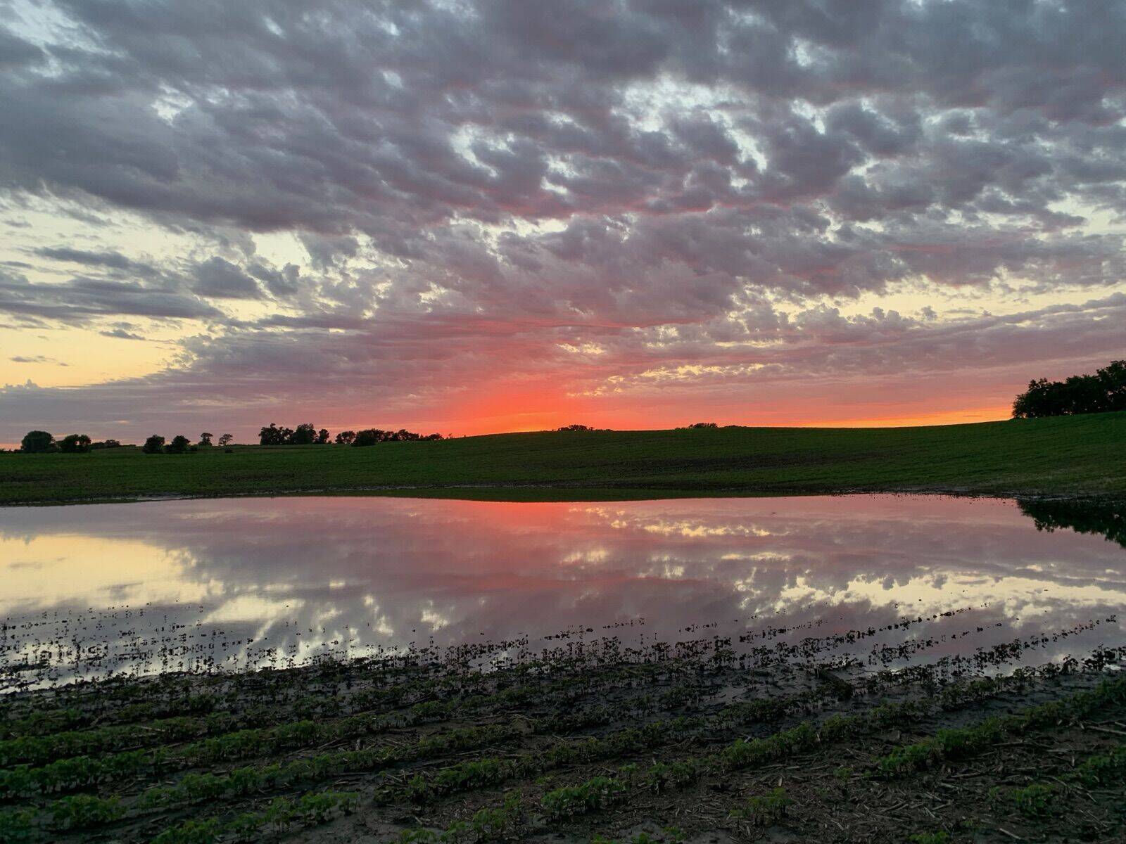 Sunset viewed from the western treeline